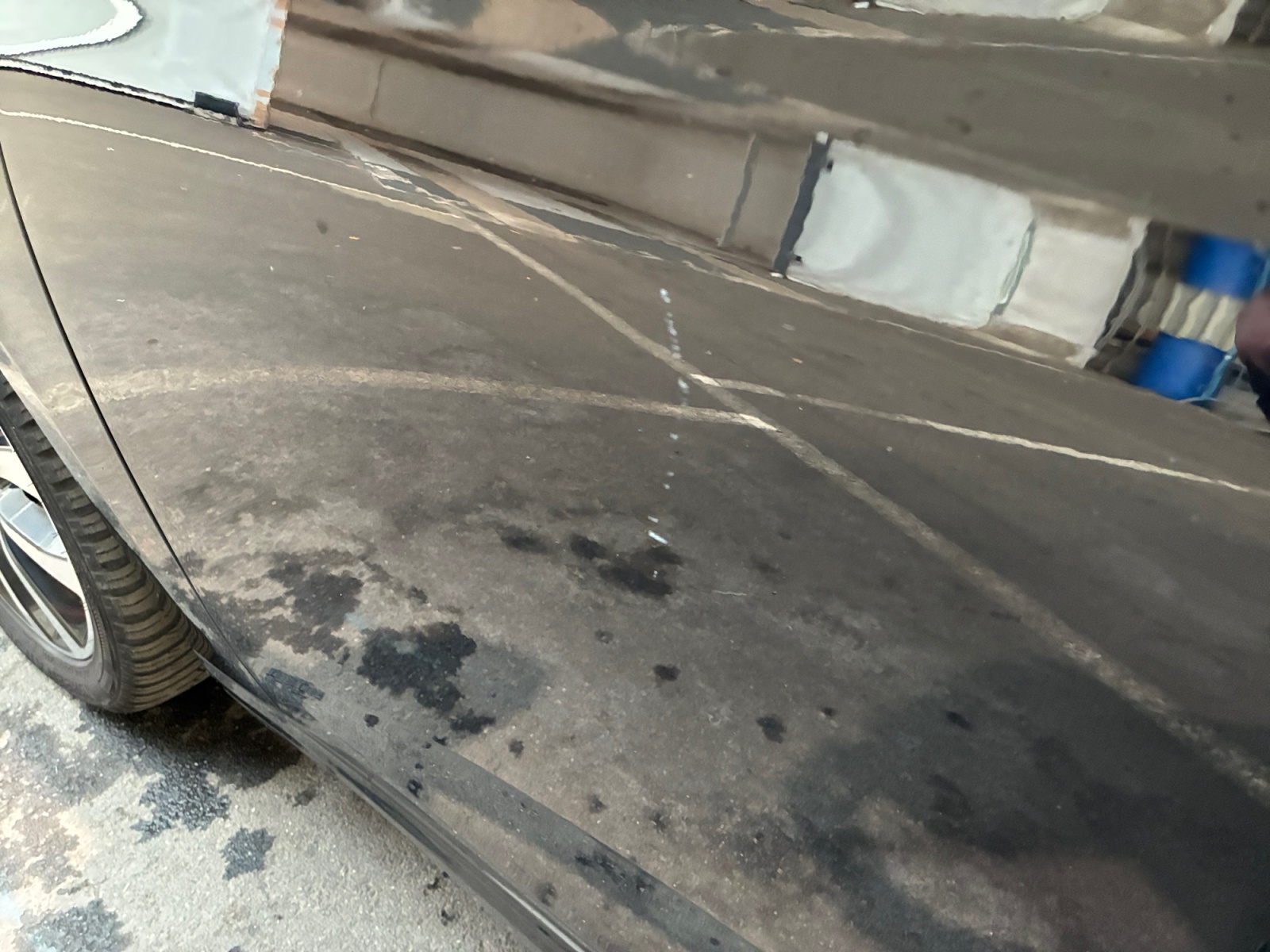 FIAT Tipo Station Wagon 1.6 MultiJet 120 ch Start/Stop 2018