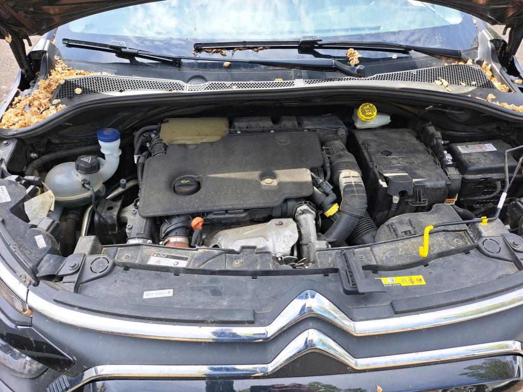 CITROEN CITROEN C3 ENTREPRISE SOCIETE BLUEHDI 100 S&S BVM6 FEEL NAV 2023