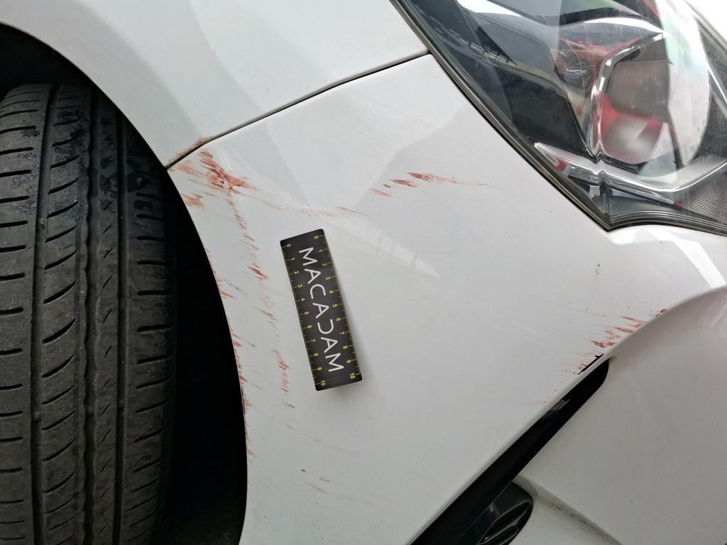 TOYOTA  2019