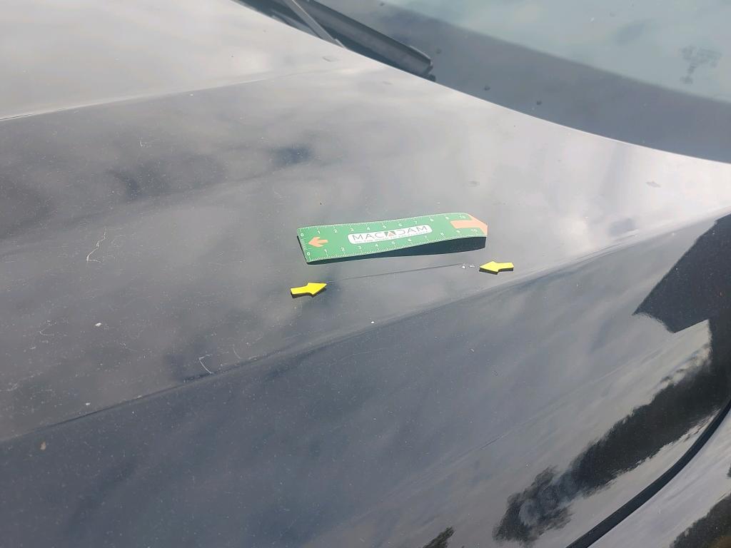 BMW BMW SERIE 1 F40 116i 109 ch DKG7 - 2023