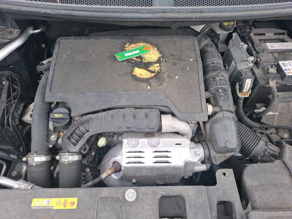 CITROEN CITROEN C5 AIRCROSS PureTech 130 S&S EAT8 Shine 2022