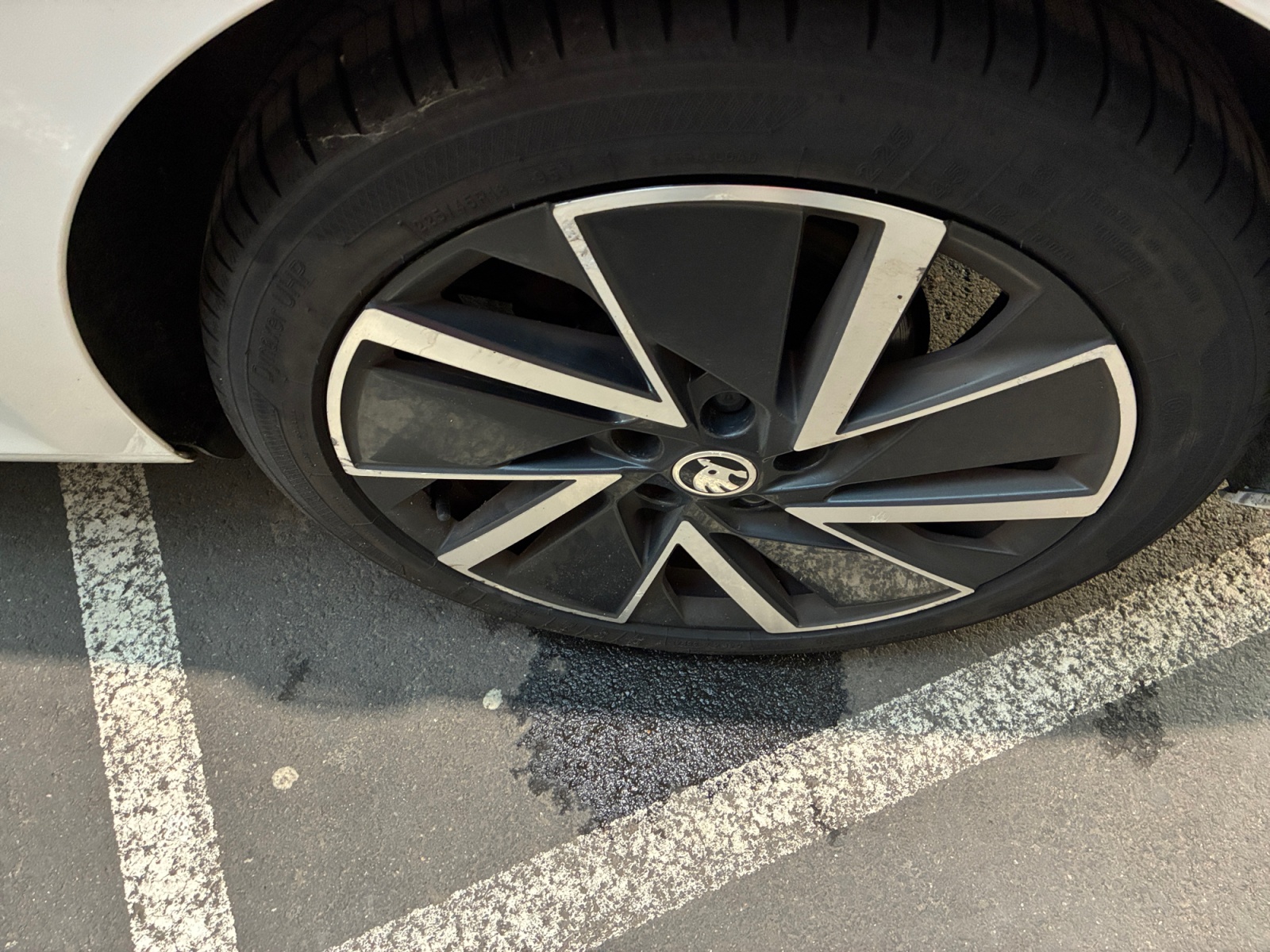 SKODA Octavia 2.0 TDI 150 ch DSG7 2021