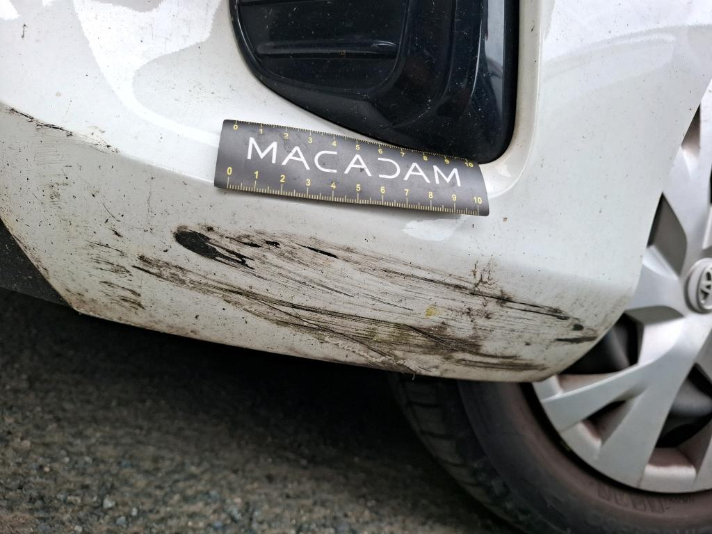 TOYOTA  2019