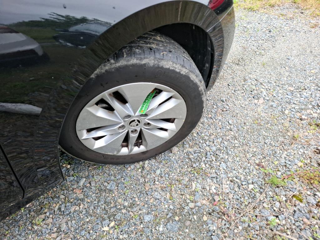 SKODA SKODA OCTAVIA COMBI 2.0 TDI 116 ch Business 2023