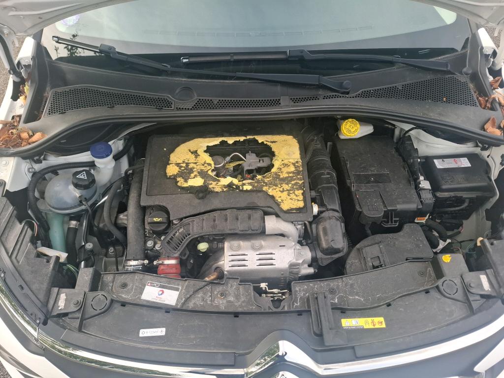 CITROEN CITROEN C3 PureTech 110 S&S EAT6 Shine 2023