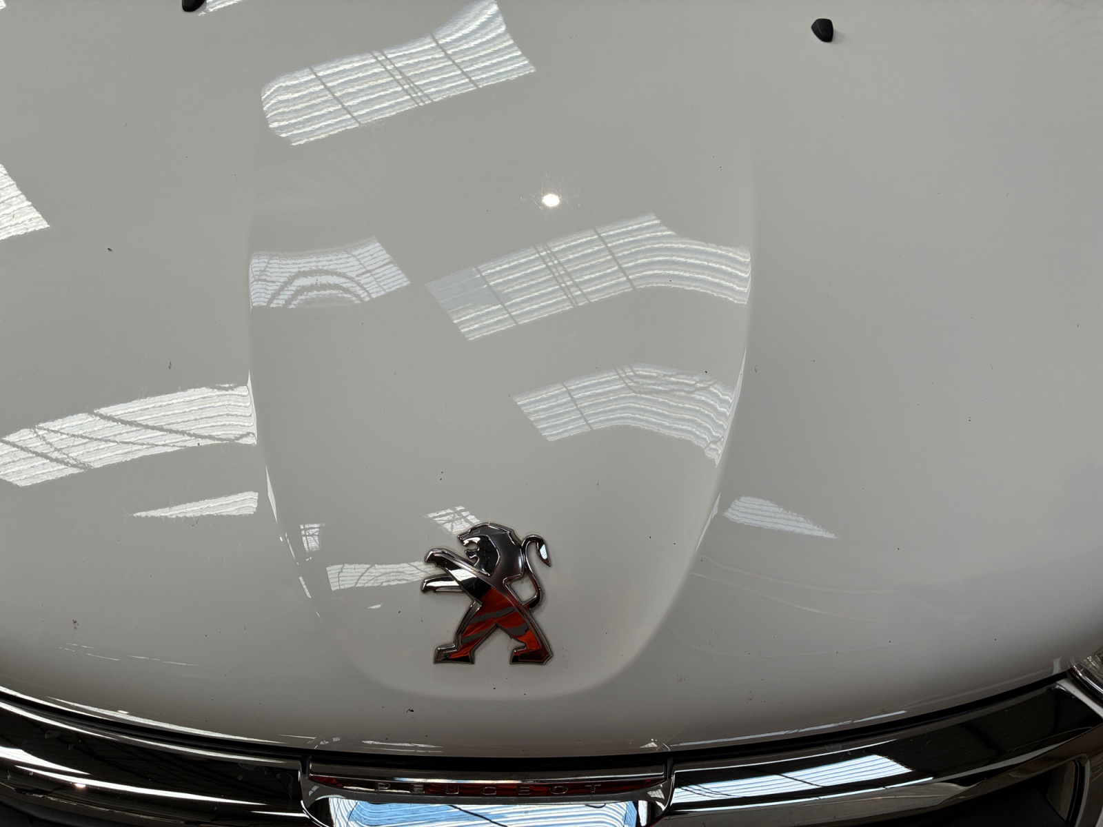 PEUGEOT Bluehdi 100 S&s Bvm5 2020