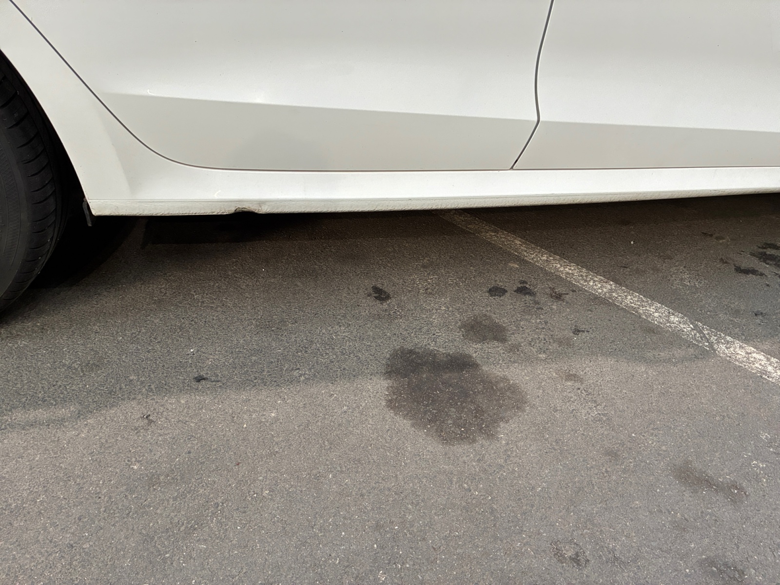 SKODA Octavia 2.0 TDI 150 ch DSG7 2021