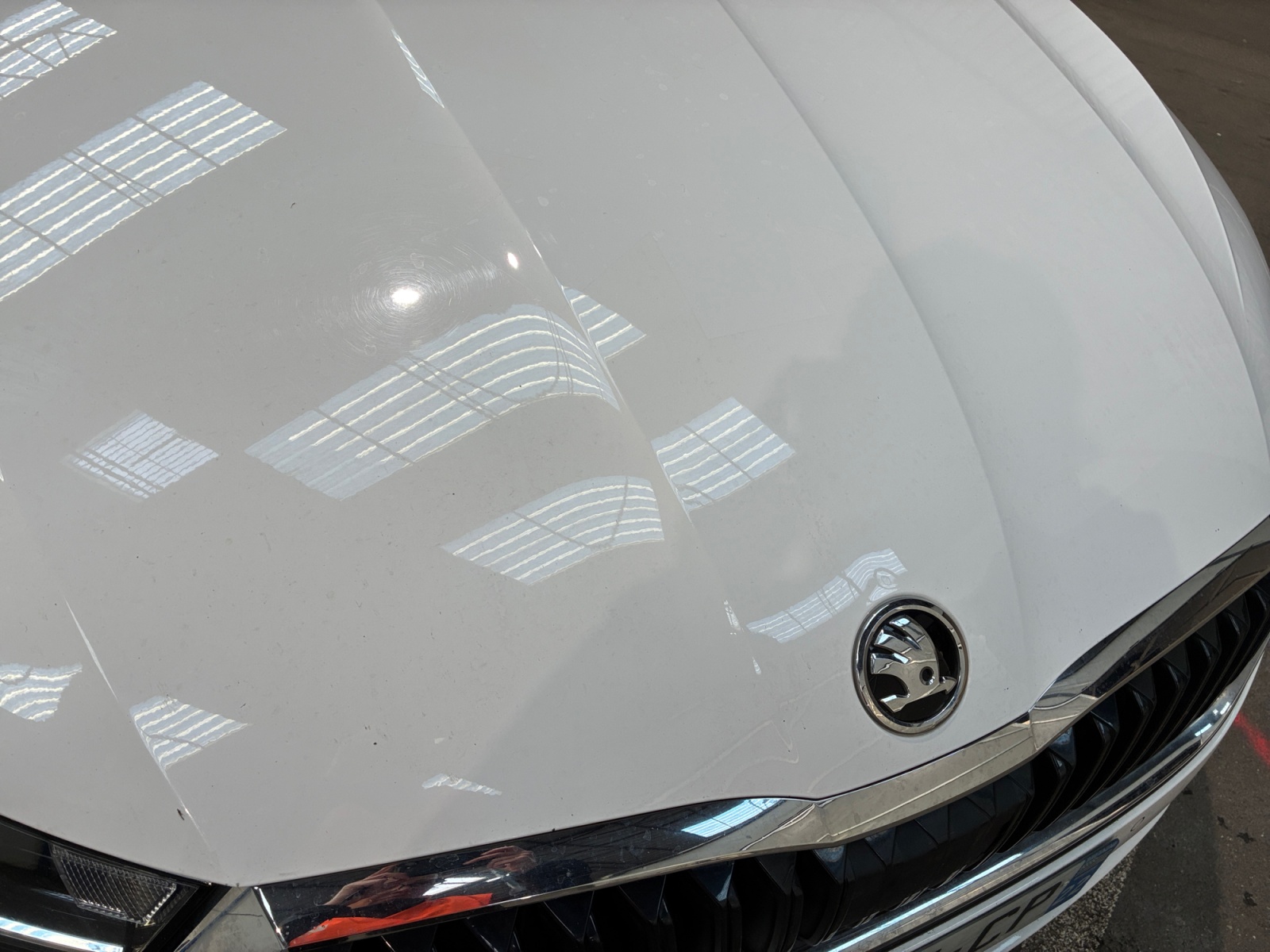 SKODA Octavia 2.0 TDI 150 ch DSG7 2021