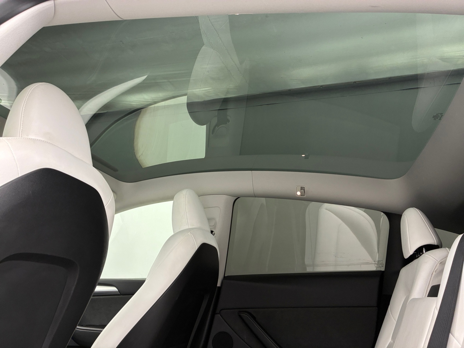 TESLA 2024
