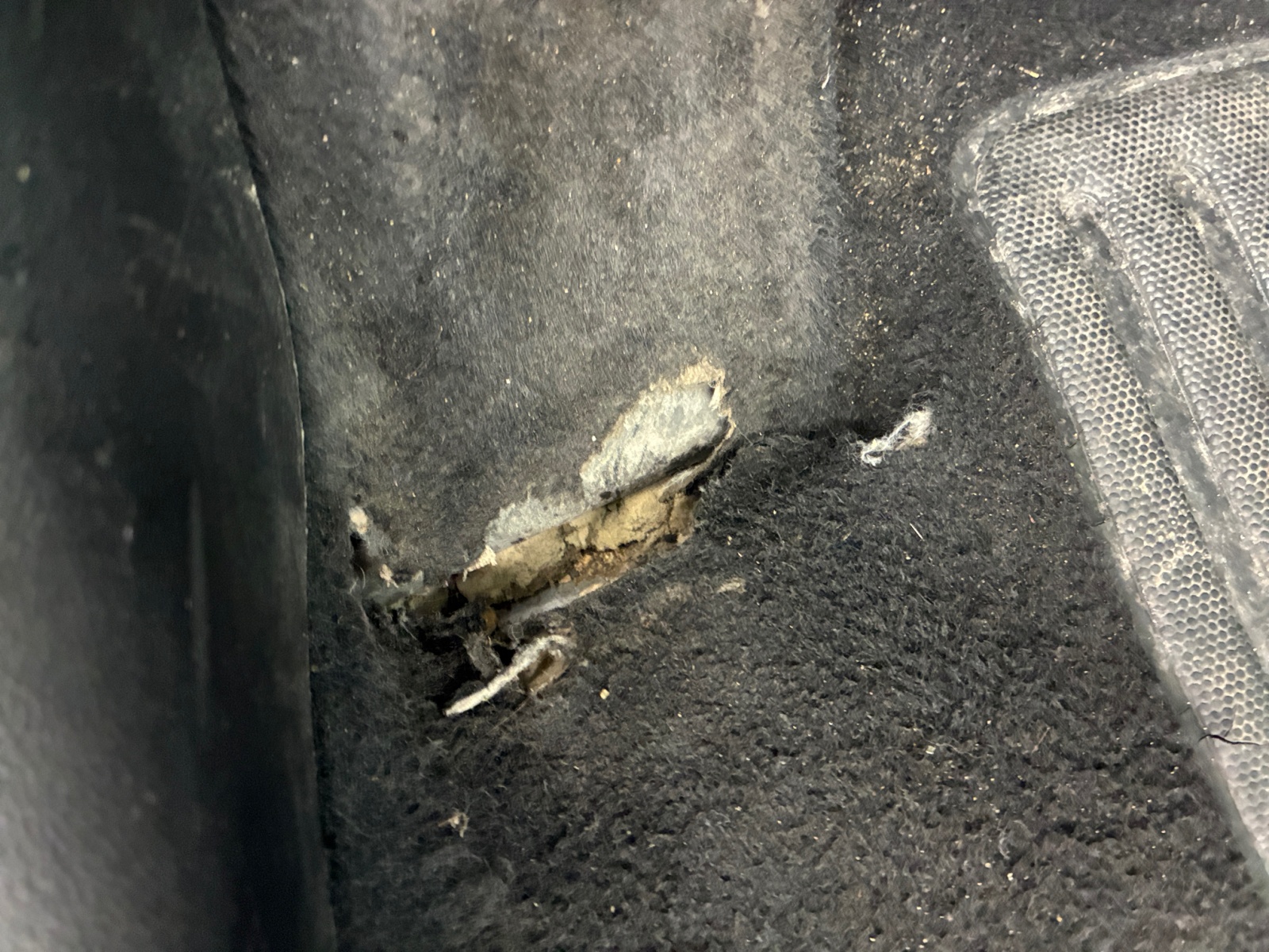 CITROEN CITROEN C3 BUSINESS PureTech 110 S&S EAT6 Shine 2020