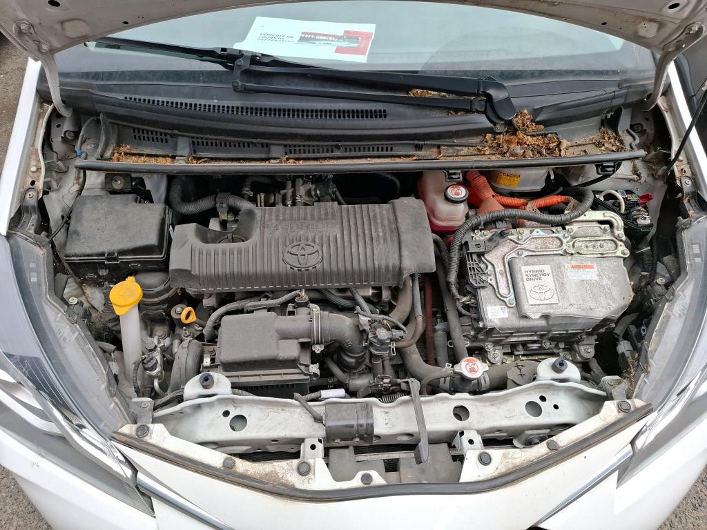 TOYOTA  2019