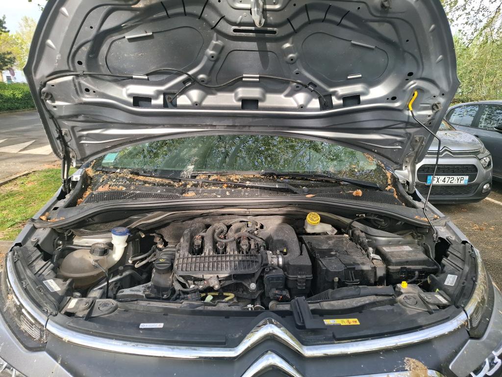 CITROEN CITROEN C3 PureTech 83 S&S BVM5 Feel Business 2021