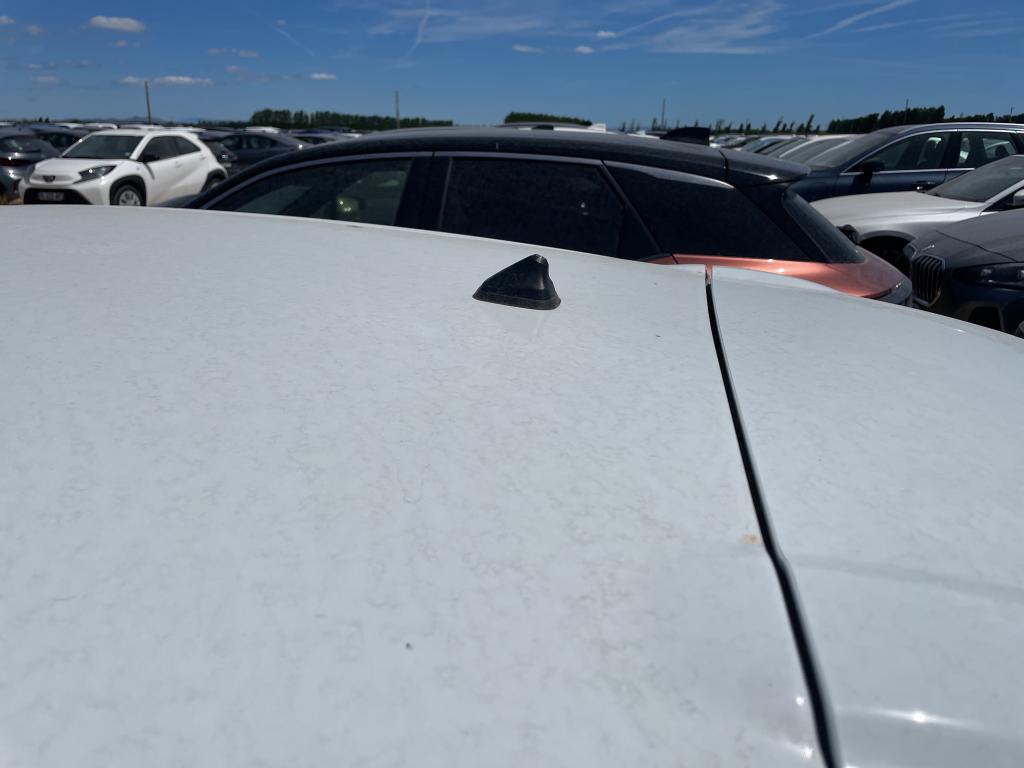 RENAULT RENAULT CLIO IV BUSINESS dCi 90 Energy 82g 2018