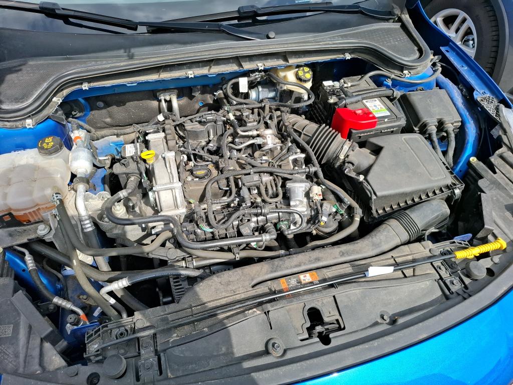FORD FORD FOCUS SW 1.0 Flexifuel 125 S&S mHEV Powershift ST-Line X 2024