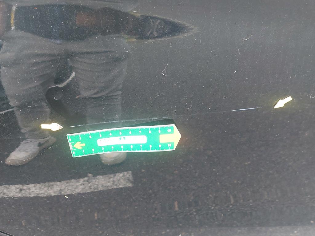 BMW BMW SERIE 1 F40 116i 109 ch DKG7 - 2023