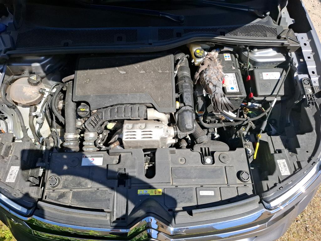 CITROEN CITROEN C4 PureTech 130 S&S EAT8 Feel Pack 2023