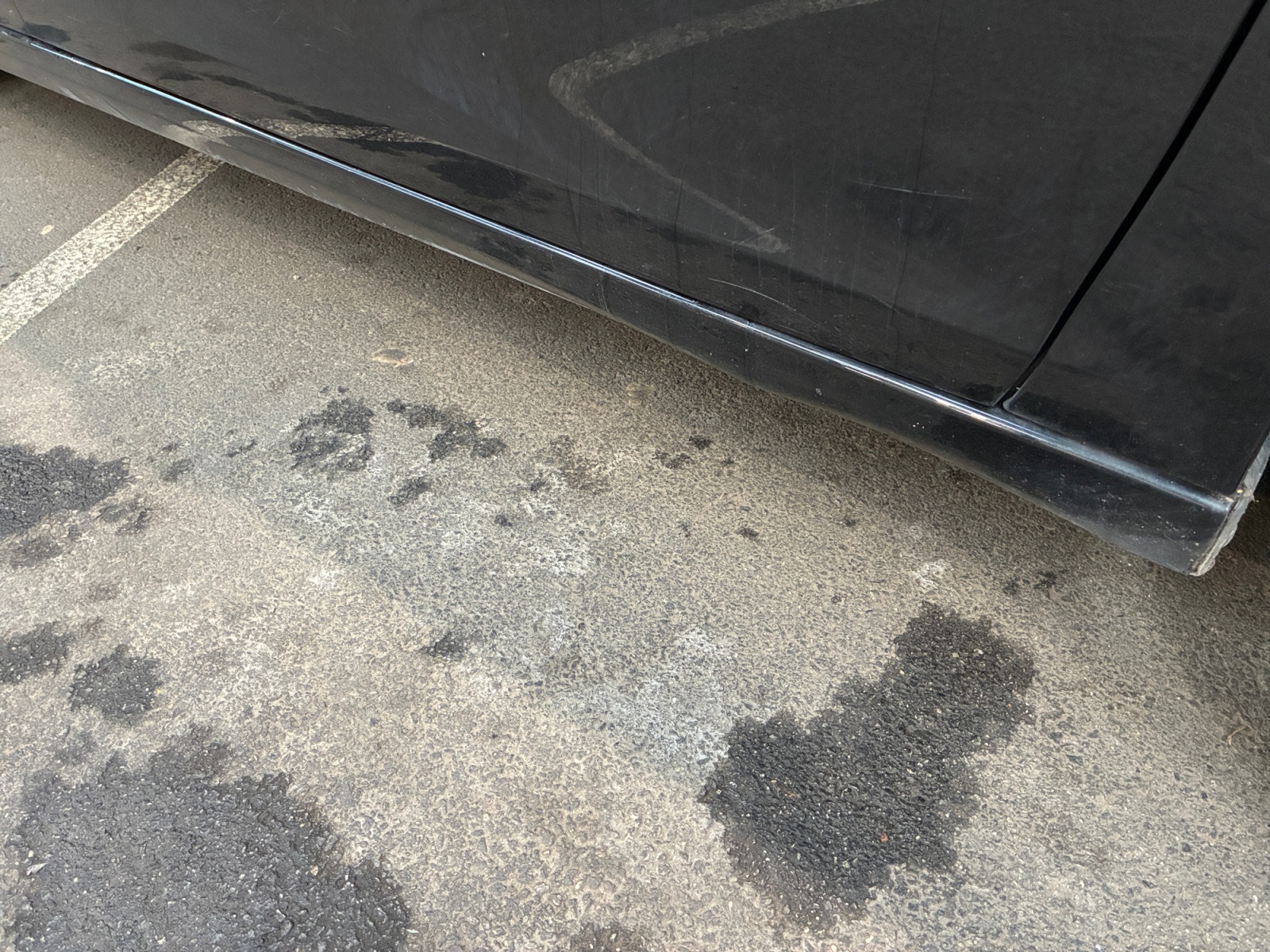 PEUGEOT 308 BlueHDi 130ch S&S BVM6 2019