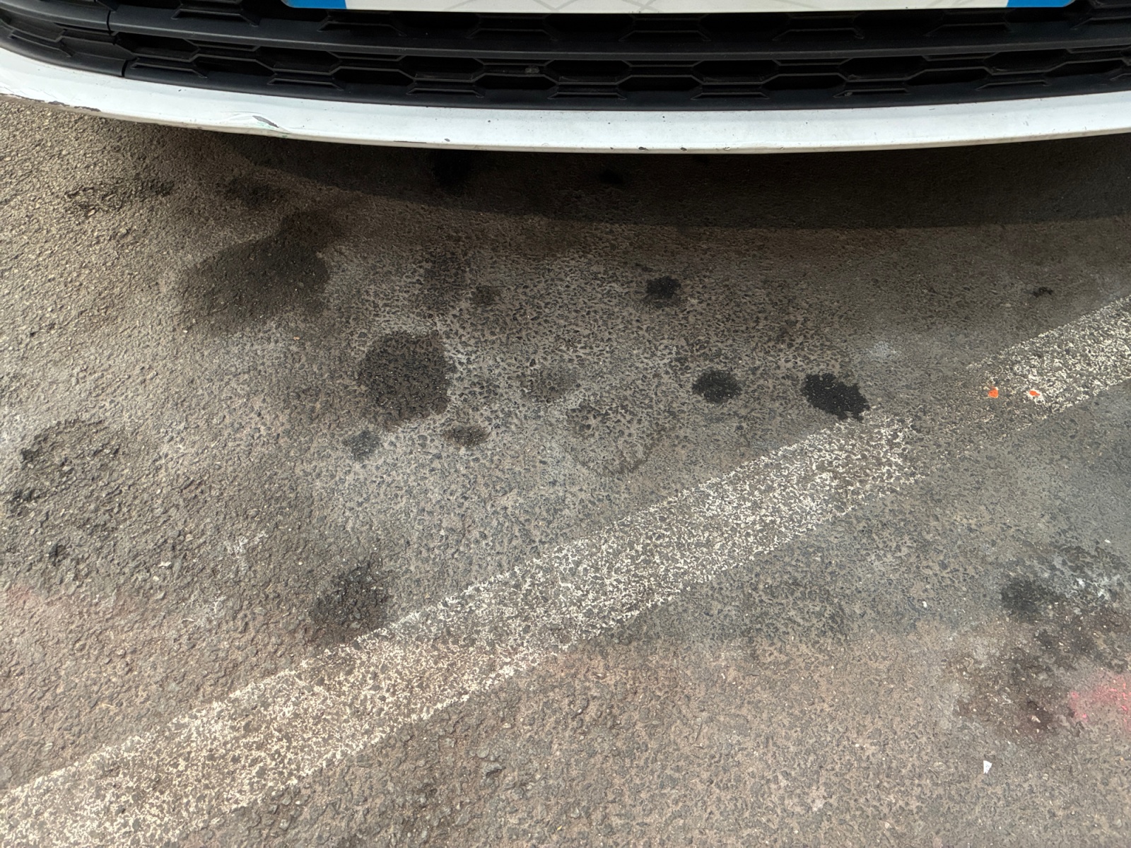 SKODA Octavia 2.0 TDI 150 ch DSG7 2021