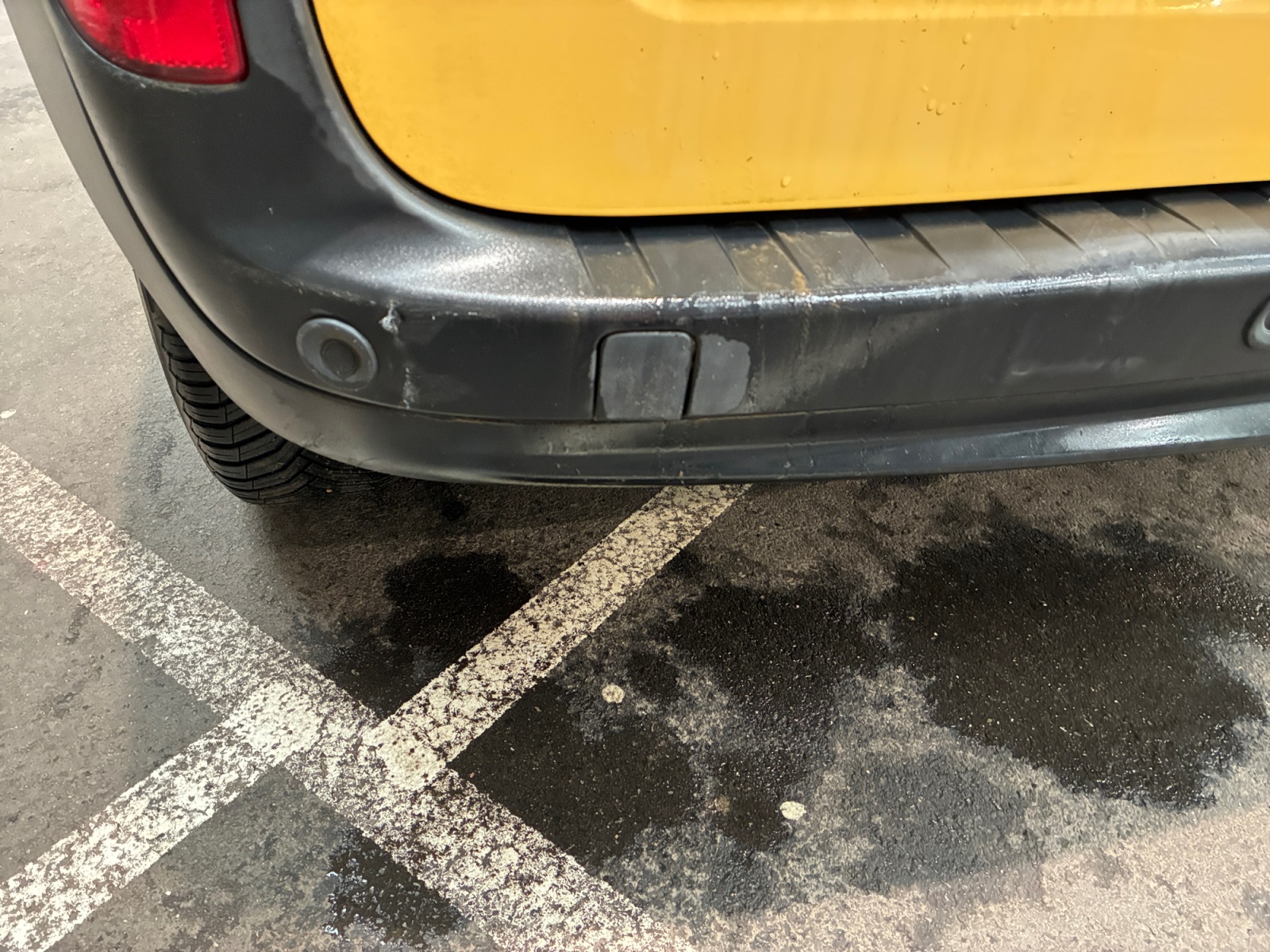 RENAULT KANGOO EXPRESS L1 1.5 DCI 75 2016