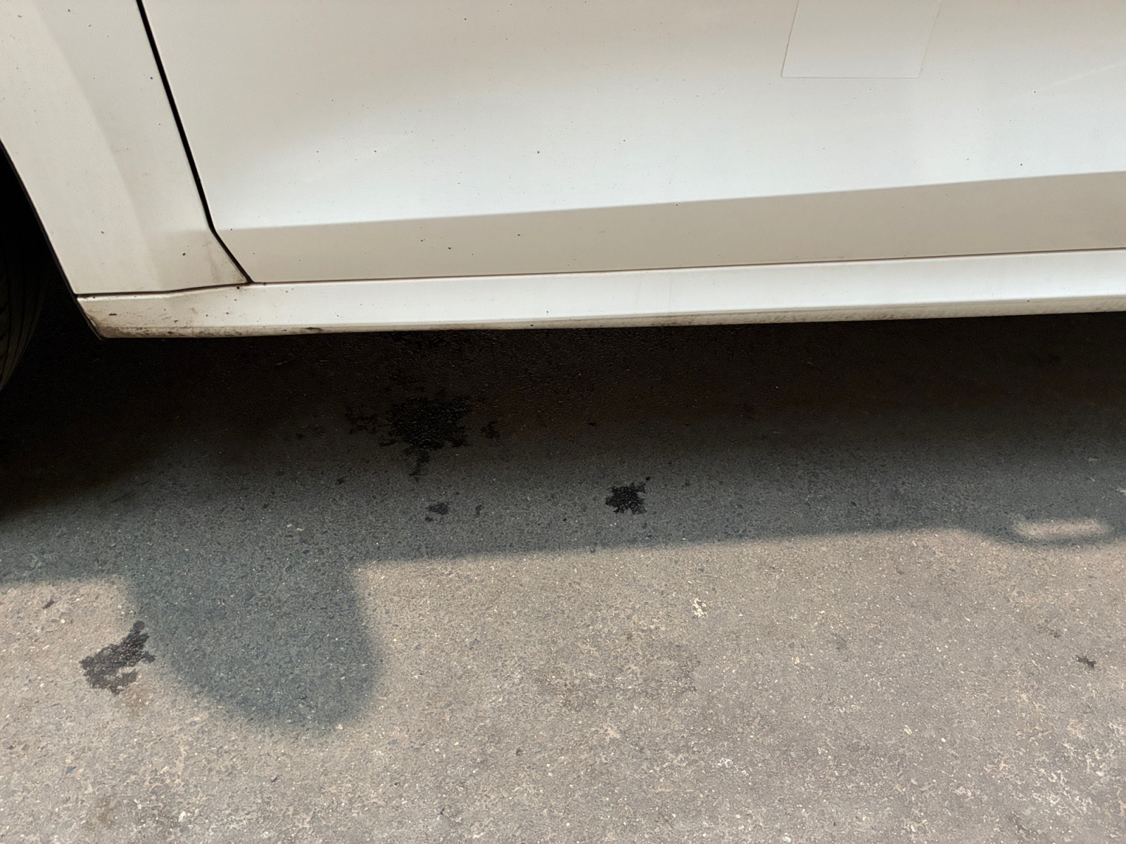 SKODA Octavia 2.0 TDI 150 ch DSG7 2021