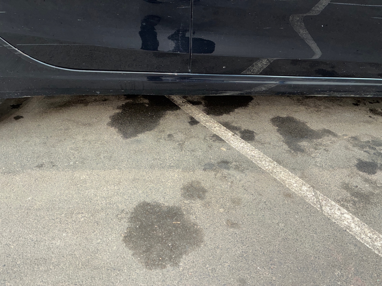 FIAT Tipo Station Wagon 1.6 MultiJet 120 ch Start/Stop 2018