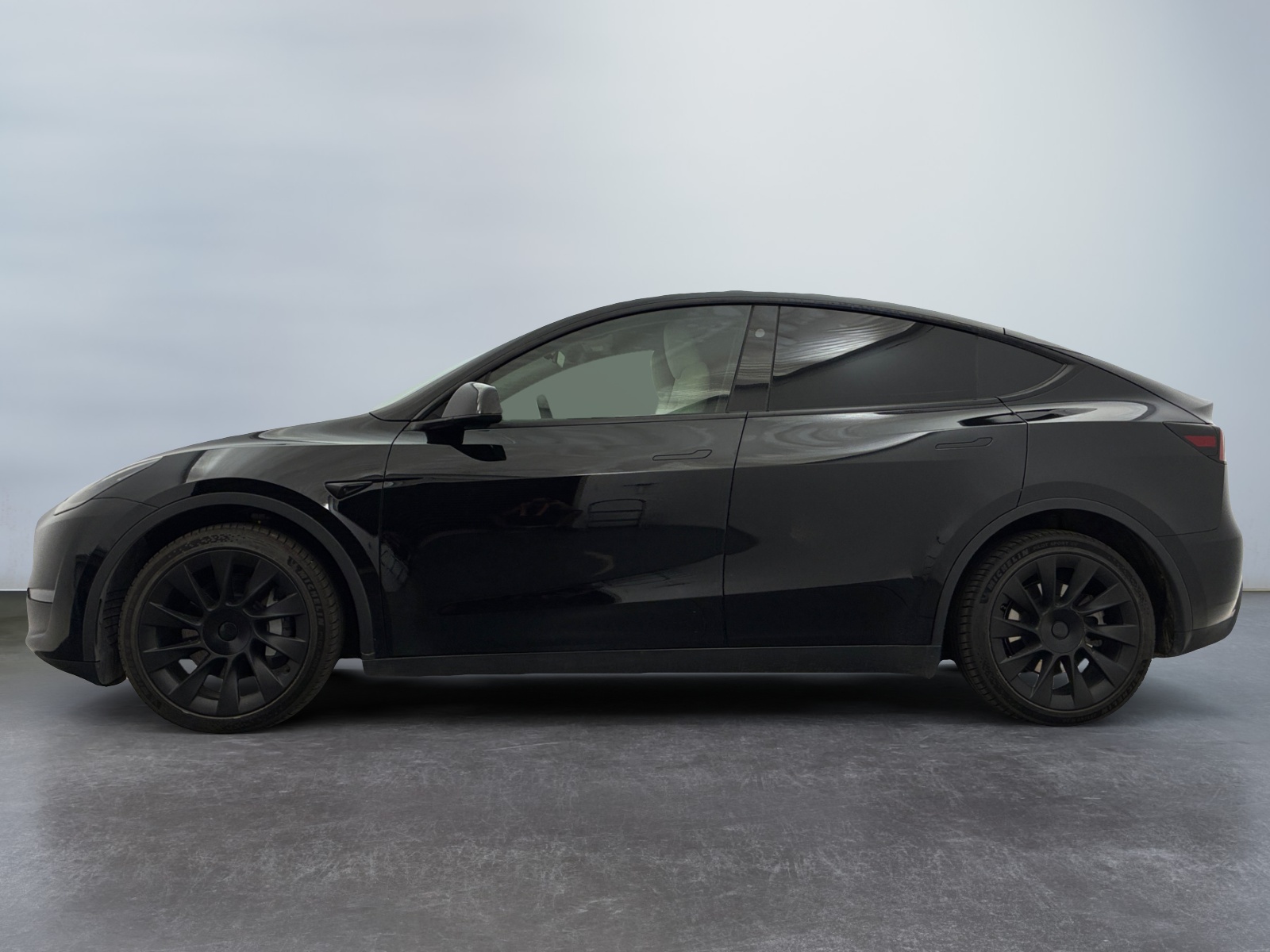  TESLA 2024