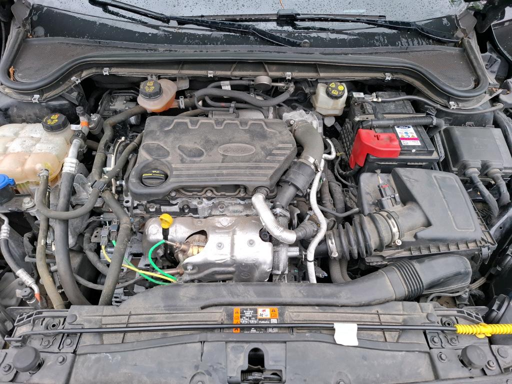 FORD FORD FOCUS 1.5 EcoBlue 120 S&S Trend Business 2021