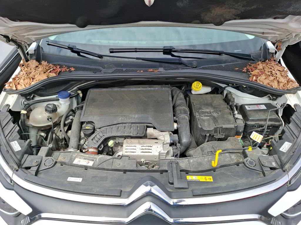 CITROEN CITROEN C3 PureTech 110 S&S BVM6 Shine Business 2021