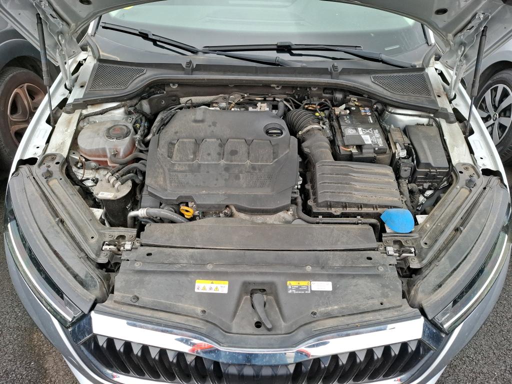 SKODA SKODA OCTAVIA COMBI 2.0 TDI 116 ch Business 2023