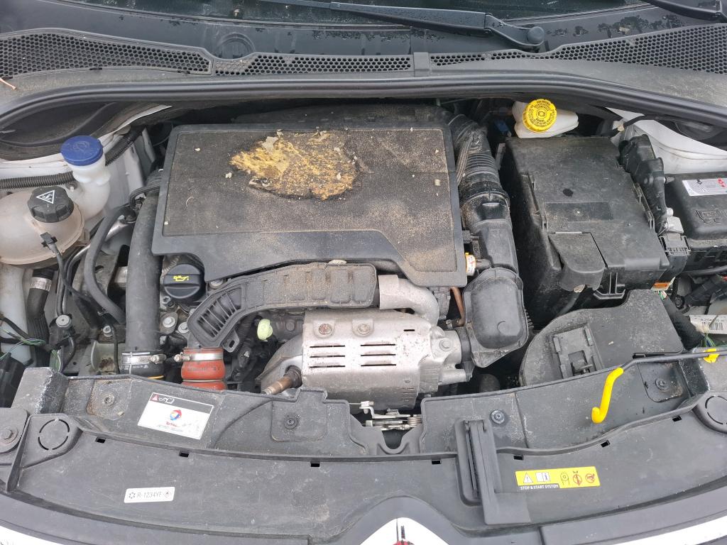CITROEN CITROEN C3 PureTech 110 S&S BVM6 Shine 2023