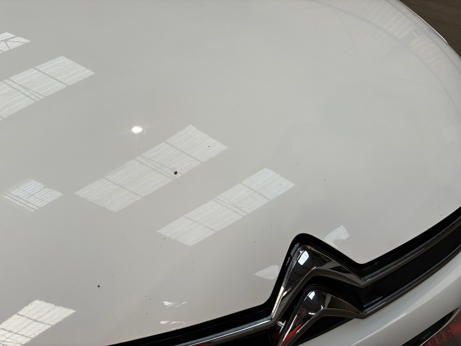 CITROEN C4 Cactus BlueHDi 120 S&S EAT6 2019