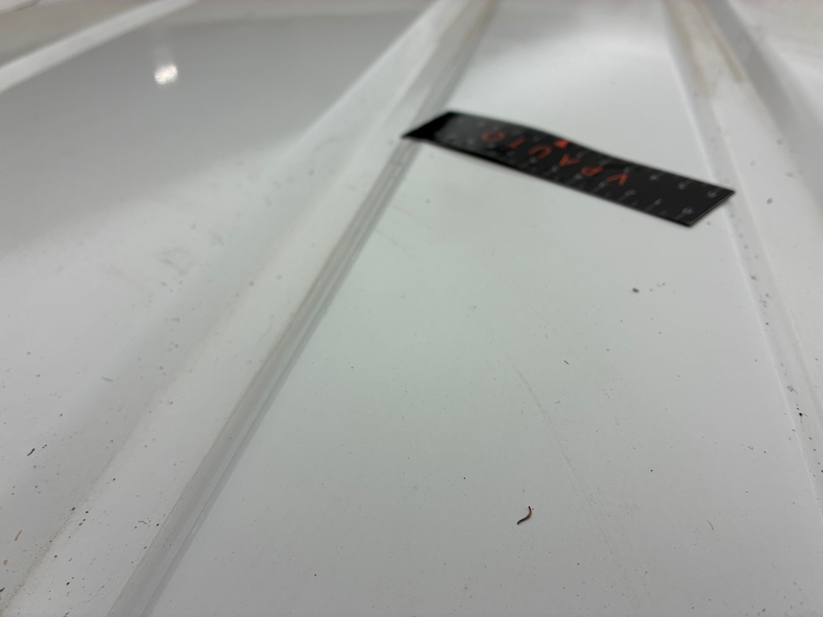 CITROEN JUMPY FGN M BLUEHDI 115 S&S BVM6 BUSINESS 2017