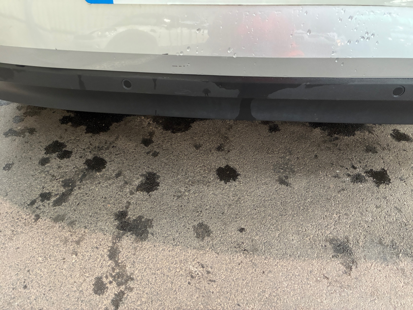 RENAULT MÃ©gane Iv Berline Blue Dci 115 2021