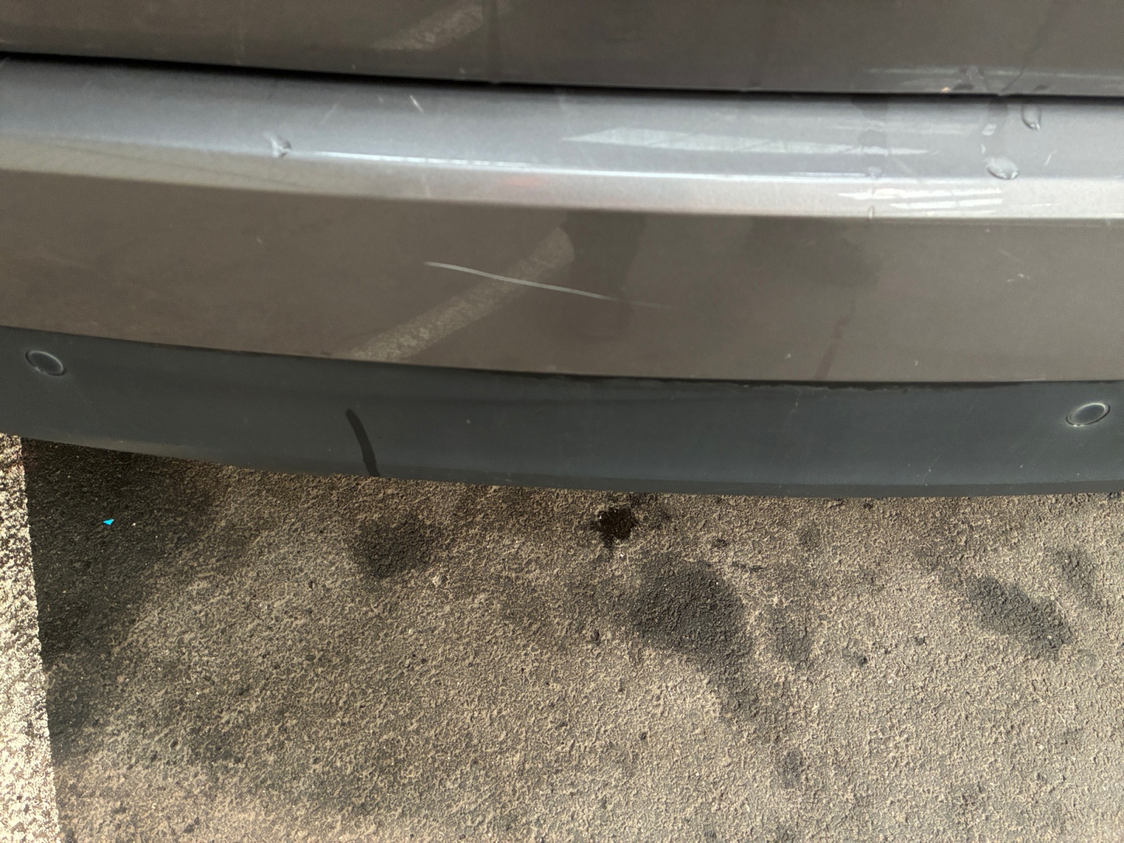 RENAULT Scenic Blue dCi 120 2020