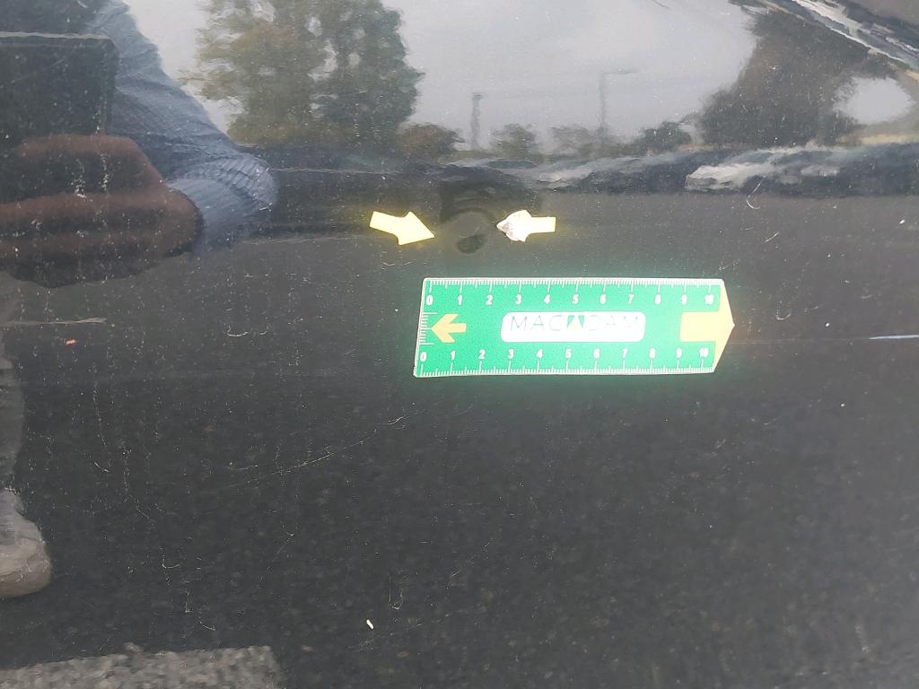 BMW BMW SERIE 1 F40 116i 109 ch DKG7 - 2023