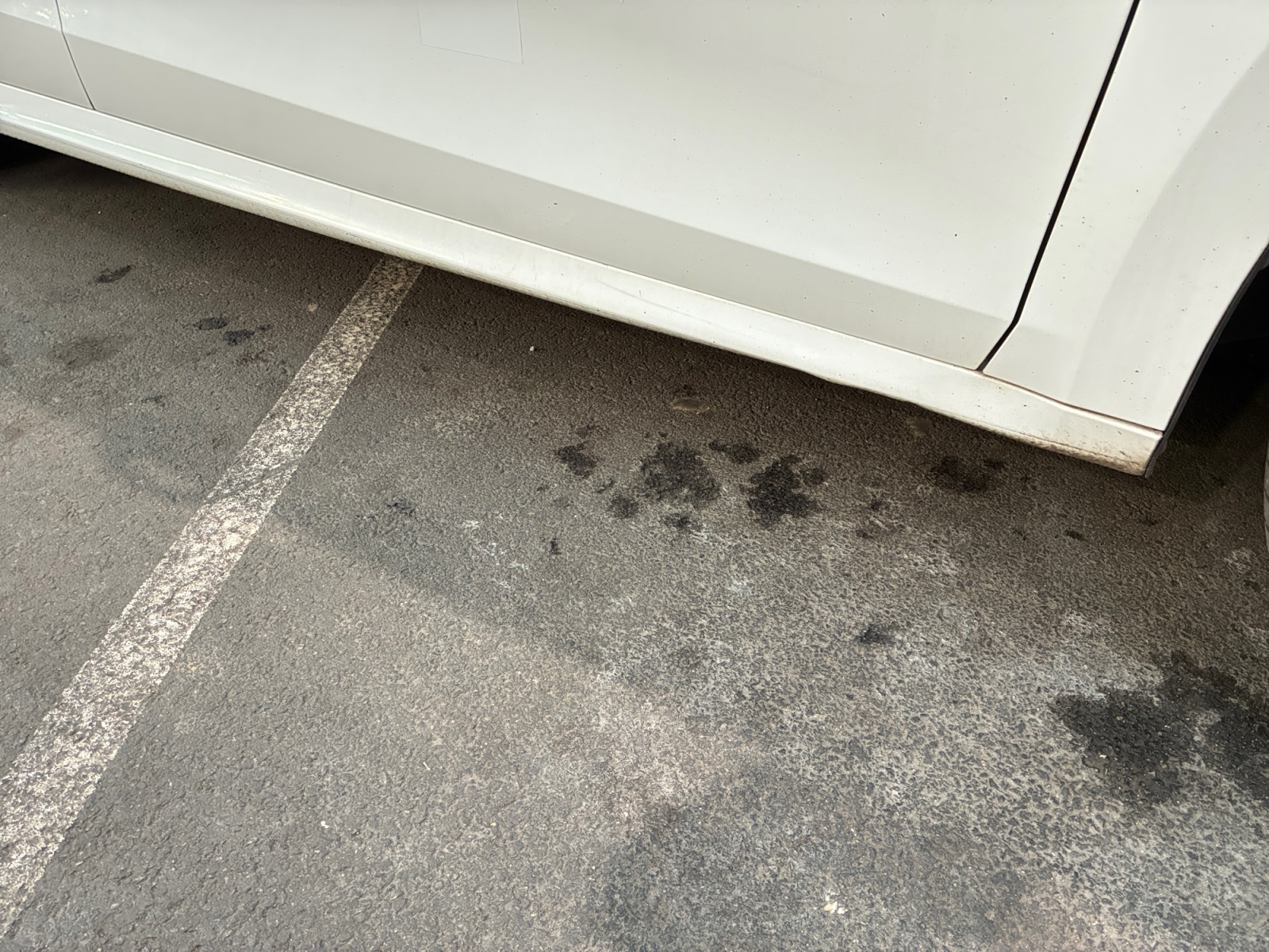 SKODA Octavia 2.0 TDI 150 ch DSG7 2021