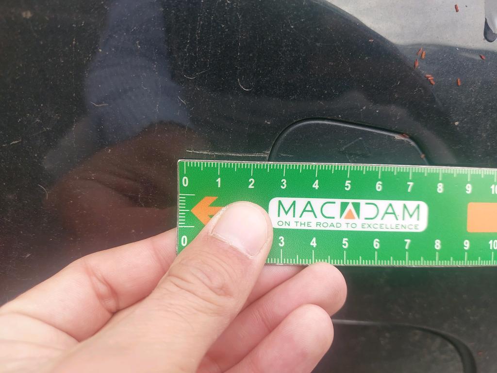 BMW BMW SERIE 1 F40 116i 109 ch DKG7 - 2023