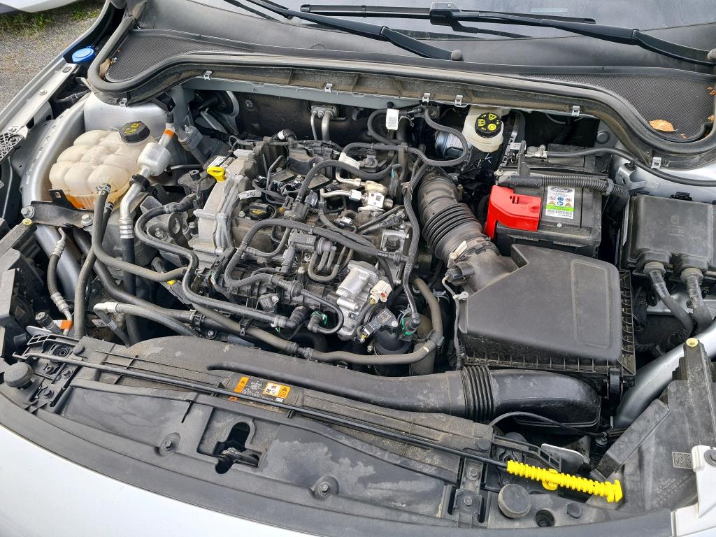 FORD FORD FOCUS 1.0 Flexifuel 125 S&S mHEV Powershift Titanium X Business 2024